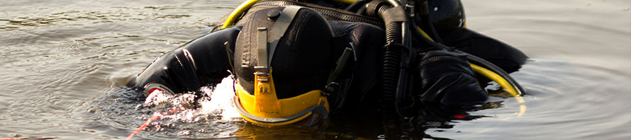 Law_Dive_890x198 Law_Dive_890x198